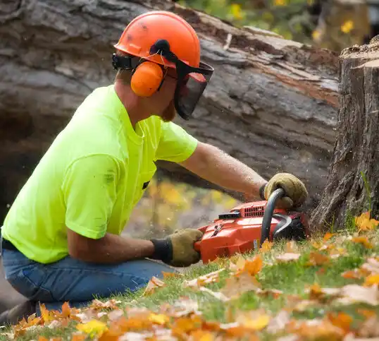 tree services Adena